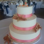 Jessie's Wedding Cake