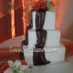 Michelle's Wedding Cake