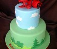 Airplane Cake
